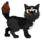 Profile image of Jamie