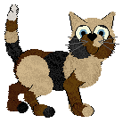 Profile image of FK's Irresistible Charm