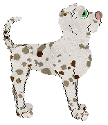 Sz/FK's Don't Worry About a Thing — “Marley”