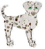 Profile image of Sz/FK's Don't Worry About a Thing