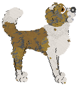 Cargo/FK’s But Not France, Right? — “Diane”