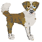 Profile image of Cargo/FK’s But Not France, Right?