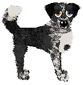 Profile image of Cargo/FK’s German Death Reggae