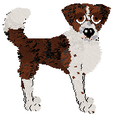 Cargo/FK’s Bottle That Noise Up — “Meagle”