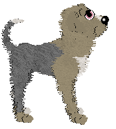 Mockingbird's Cheese For My Egg — “Banjo”