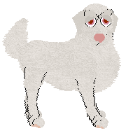 Mockingbird's Never Eat Shredded Wheat — “Mnemonic”