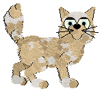 Amenity/King's Far Far Away — “Galaxy”