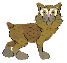 EC's Mister Ed — “Ed”