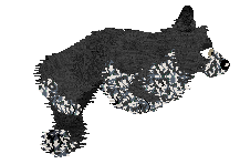 Come Bye's Loup Garou — “Remus”