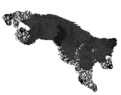 Come Bye's Loup Garou — “Remus”