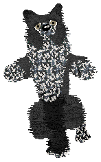 Come Bye's Loup Garou — “Remus”