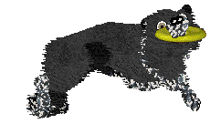 Come Bye's Loup Garou — “Remus”