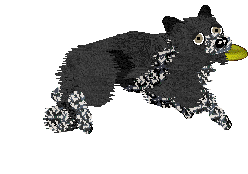 Come Bye's Loup Garou — “Remus”