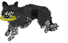 Come Bye's Loup Garou — “Remus”