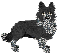 Come Bye's Loup Garou — “Remus”