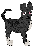 Cirrutopia’s Iberne at Wild Road — “Sima”