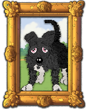 Profile image of Cirrutopia’s Iberne at Wild Road