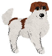 Profile image of APS/Mockingbird's Cracklin' Crunch