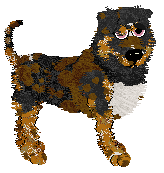 Opolire Twilight Nocturne at Cirrutopia — “Dorian”