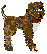 Profile image of Opolire Song of the Meadow