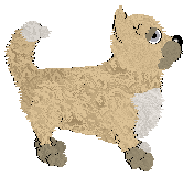 Profile image of NSP Viva la Vulva! @ Mockingbird