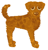 Lilipad/Cloudkiss Solidago Goldenrod — “Goldenrod”