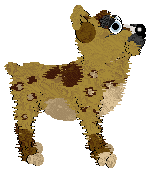 Sz/Witz's Spring Veggie Delight — “Asparagus”