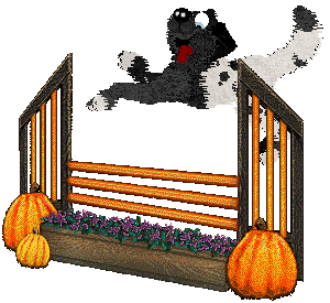 Cirrutopia's Unusual Suspects — “Ice-T”