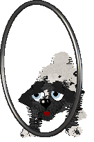 Cirrutopia's Unusual Suspects — “Ice-T”