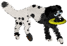 Cirrutopia's Unusual Suspects — “Ice-T”