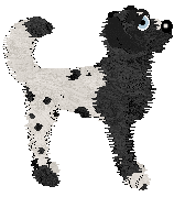 Cirrutopia's Unusual Suspects — “Ice-T”