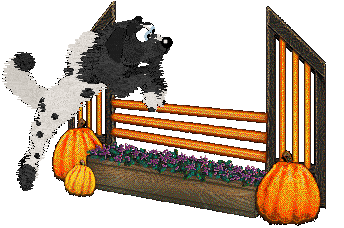 Cirrutopia's Unusual Suspects — “Ice-T”