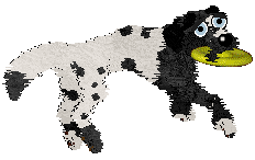 Cirrutopia's Unusual Suspects — “Ice-T”