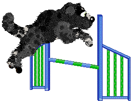 Funfetti/Poppyhill's Woven into History — “Velour”