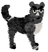 Funfetti/Poppyhill's Woven into History — “Velour”