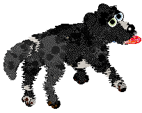 Funfetti/Poppyhill's Woven into History — “Velour”