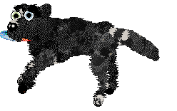 Funfetti/Poppyhill's Woven into History — “Velour”