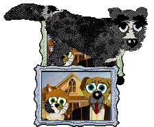 Funfetti/Poppyhill's Woven into History — “Velour”