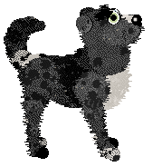 Funfetti/Poppyhill's Woven into History — “Velour”