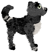 Funfetti/Poppyhill's Woven into History — “Velour”