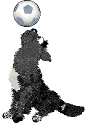 Funfetti/Poppyhill's Woven into History — “Velour”