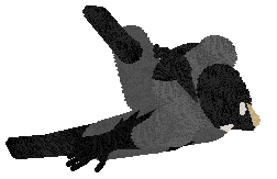 Beefy'z Always Aslume The Worst — “Man”