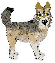 Coyote/Beefy'z Did A Bitch Not Nurse Rome — “Lupa”