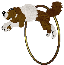 Aussome's Prehistoria @ Mockingbird — “Cassowary”