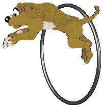 Tallie's Strings of Antiquity @ Mockingbird — “Cithara”