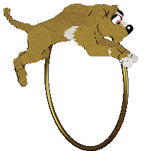 Tallie's Strings of Antiquity @ Mockingbird — “Cithara”