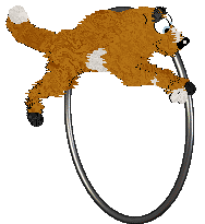 King's Wind Between the Reeds @ Mockingbird — “Harmonica”