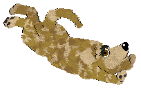 Wild Road/Mockingbird's Quiet Grace — “Inneke”