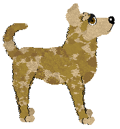 Wild Road/Mockingbird's Quiet Grace — “Inneke”