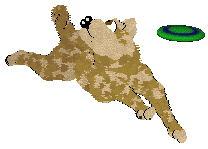 Wild Road/Mockingbird's Quiet Grace — “Inneke”